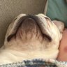 SlickRick profil fotoğrafı