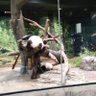 tanabota profil fotoğrafı
