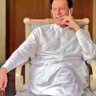Masooda Khwaja's profile picture