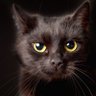 じゅんじろう profil fotoğrafı