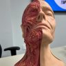 Anthony Wencelaus Iw's profile picture