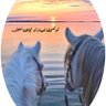 Фото профиля azizh