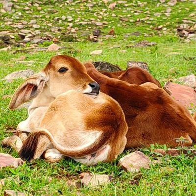 सुमन्त's profile picture