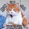偷税♂摩的佬 的头像