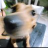 ElHombreTopo's profile picture