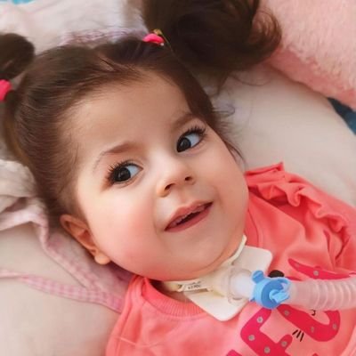 🐼BALKIZ ASLI KAZANDI's profile picture