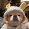 Sucmyuka's profile picture