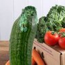 Фото профиля Cucumber of death 🇪🇺 🇺🇦 🇮🇱🎗️💚📯