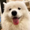 ︎︎い profil fotoğrafı