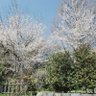 Фото профиля あさあ