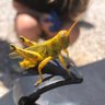 Yellow Grasshopper 的头像
