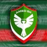 Amedspor Sevdalısı's profile picture