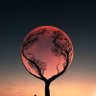 Dark Soul's profile picture