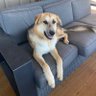 TK profil fotoğrafı