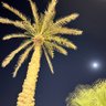 Фото профиля محمد