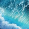 sierra88 🌊's profile picture
