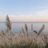 Profilbild von eco.bio.summer