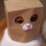 Profilbild von El Gato de la Bolsa