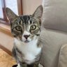 Varne profil fotoğrafı