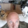 paulallan's profile picture
