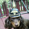 Teckel Hund profil fotoğrafı