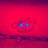zattroof ✝️ profil fotoğrafı