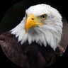 Фото профиля Eagle’s🦅Wings