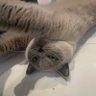 Profilbild von igor
