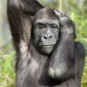 magcus's profile picture