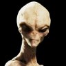 McCoy's profile picture