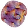 Euler 的头像