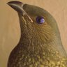 Profilbild von Elena