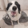 🦋🐞MORITA🐞🦋's profile picture