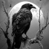 Badri's profile picture