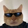 the funky homosapien's profile picture