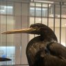 深海ど profil fotoğrafı