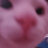 Vivi 的头像