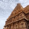 Maheshwar Singh profil fotoğrafı