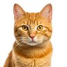 H O P E profil fotoğrafı