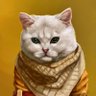 Фото профиля どうしよう!