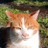 Bertu P.G.'s profile picture