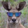 🇦🇺Canberroo🇦🇺 profil fotoğrafı