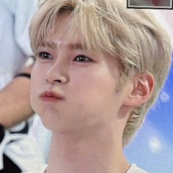 vee 🐹's profile picture