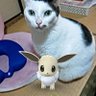 oyaoyaji007 的头像
