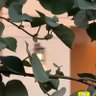 بيادر's profile picture