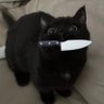 Profilbild von nablydatelot