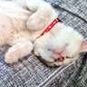 InheavenME💜7💜 profil fotoğrafı