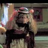 liam johnston's profile picture