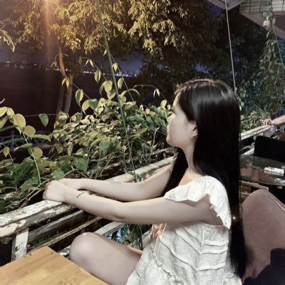 Chun mèo's profile picture