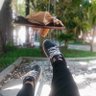 Фото профиля sal ray